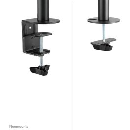 Soporte de Mesa para Pantalla Neomounts NM-D135BLACK