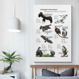 Samsung Galaxy A36 5G Dual Sim 6GB RAM 128GB Almacenamiento Lavanda