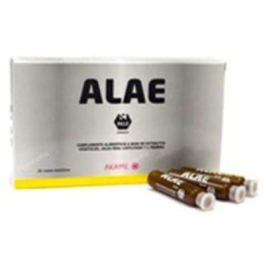 Alae 20Amp. Complemento alimenticio oral cicatrizante y antiinflamatorio con miel y propóleo para garganta y heridas Precio: 34.5900005. SKU: B1GVJVT997