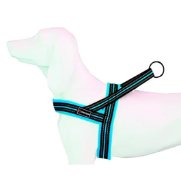 Freedog Arnés Soft Sport Turquesa 30 mm 70-82 cm Precio: 15.49999957. SKU: B1DE4JT5T5