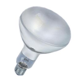 Osram Lámpara Ultra UV Vitalux 300W para Secado Rápido de Pegamento Cianocrilato en Cristal de Muebles y Bisagras Precio: 132.49999972. SKU: B1GLJEZM6D