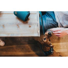 Hunter Portapremios Hilo Basic Turquesa 14x10x8cm Poliéster/Malla 3D