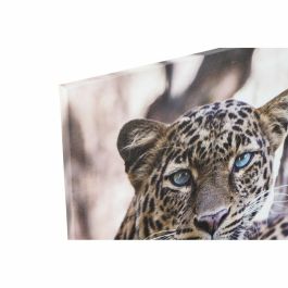 Cuadro Colonial DKD Home Decor Multicolor 1.8 x 70 x 50 cm (3 Unidades) Cuadro Colonial DKD Home Decor Multicolor 1.8 x 70 x 50 cm (3 Unidades)