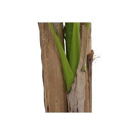 DKD Home Decor Palmera Bananera Artificial para Terraza y Jardín, Verde, 90x90x240 cm (Pack de 2)