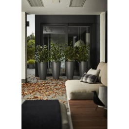 Elho Maceta Pure Soft Round High 30 Antracita, Uso Interior y Exterior, Ø 29,5 x H 52,5 cm