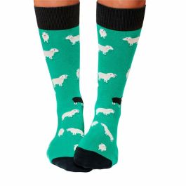 Calcetines Jimmy Lion Black Sheep Aguamarina 41-46 Calcetines Jimmy Lion Black Sheep Aguamarina 41-46