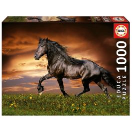 Educa Puzzle 1000 Caballo Al Trote 19555 68 x 48 cm Cartón Reciclado Precio: 10.89. SKU: B1KHS4VK3K