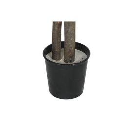 Árbol Home ESPRIT Poliéster Madera 100 x 100 x 185 cm Árbol Home ESPRIT Poliéster Madera 100 x 100 x 185 cm