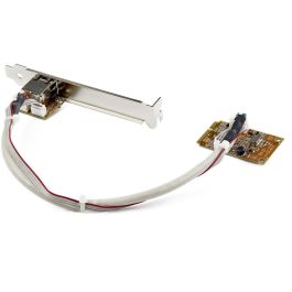 Startechcom ST1000Smpex Tarjeta de Red Gigabit Ethernet PCI Express Mini Card RJ45 para Windows, macOS, Linux