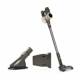 Aspirador Escoba Princess 339395 300 W