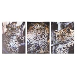 DKD Home Decor Cuadro Decorativo Set 3 Unidades Estilo Colonial con Detalles de Leopardo Multicolor 70x50x1.8 cm en Lienzo y MDF Surtidos Precio: 13.4673. SKU: B1AGSB49LD