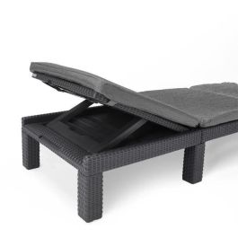 ALLIBERT Tumbona de Jardín Daytona De Luxe Imitación Resina Tejida 4 Posiciones con Cojín Gris Grafito 187x58x29cm ALLIBERT Tumbona de Jardín Daytona De Luxe Imitación Resina Tejida 4 Posiciones con Cojín Gris Grafito 187x58x29cm