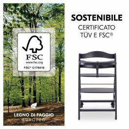 HAUCK HAU1731627400690 Trona Evolutiva BETA+ de Madera FSC con Arnés de 5 Puntos y Ruedas para Bebés de 6 Meses a 90 kg, Gris