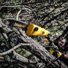 Garland Motosierra Telescópica Eléctrica 750W Bulk 298ofe-v19, Espada 25cm, Altura Trabajo 2,85m