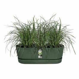 Elho Greenville Easy Balcony 52 Jardinera Verde Hoja Balcón L 21,2 x W 52 x H 19,4 cm Precio: 42.89000001. SKU: B15T4XNT3P