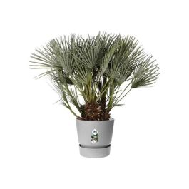 Elho Greenville 40 Maceta redonda exterior Ø 39x36.8cm, color Hormigón vivo gris, plástico reciclado, resistente a heladas, con depósito de agua.