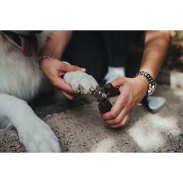 Hunter Pinza Corta Uñas L para Perros, Gatos, Pájaros y Pequeños Animales, Cuchilla Acero Inoxidable, Corte Preciso Uñas Duras Marrón