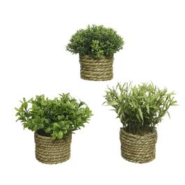 Everlands Planta artificial de poliéster Ø16x13cm verde con maceta de cuerda Everlands Planta artificial de poliéster Ø16x13cm verde con maceta de cuerda Precio: 5.89000049. SKU: S7907728