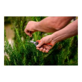 Stocker Tijera para vendimia de punta 18 cm