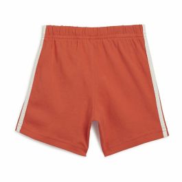 Conjunto de Ropa Adidas Disney Mickey Mouse Multicolor