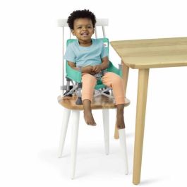 Bright Starts BRI0074451172005 Asiento elevador para niñas, rosa, plegable, portátil, ligero, fácil de limpiar, incluye bolsa de transporte. Bright Starts BRI0074451172005 Asiento elevador para niñas, rosa, plegable, portátil, ligero, fácil de limpiar, incluye bolsa de transporte.