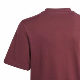 Camiseta de Manga Corta Adidas Gfx Folded