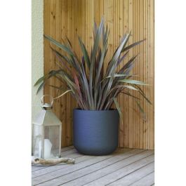 EDA PLASTIQUE Maceta redonda Graphit'Up 50 cm (67 L) para plantas, Gris antracita, uso interior y exterior con sistema de retención de agua