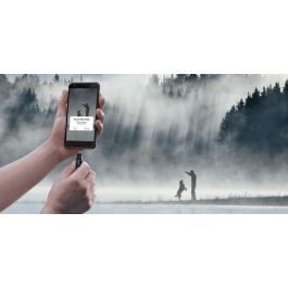 Sandisk Ultra Dual Drive Go 256 GB USB 3.2 Gen 1 (3.1 Gen 1) Type-A/Type-C Negro SDDDC3-256G-G46