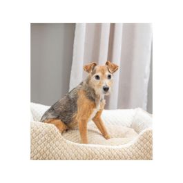 Cama para Perro Trixie Kaline Mio Marrón Crema 65 x 50 cm