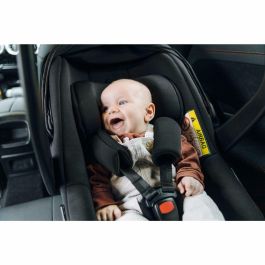 Hauck HAU1731647226765 Base Isofix DRIVE N CARE Negro