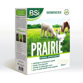 BSI 5420046644412 Semillas de Hierba Pradera Alta calidad Gran Superficie Hasta 375m² 7,5Kg Precio: 54.88999956. SKU: B1EPBZ9KSF