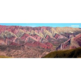 Xerox Cartucho de Tóner Original Amarillo para C230 C235 (1500 páginas)