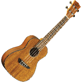 Ukelele Duo Concerto