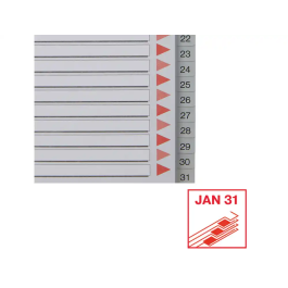 Esselte Índice Numérico Multitaladro 1-31 Polipropileno A4 Gris con Carátula Índice Cartón Color