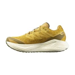 Zapatillas de Running para Adultos Salomon Aero Glide 3 Grvl Dorado 31