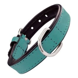 Collar Piel Acolchado 55 cm X 25 mm Turquesa Precio: 8.49999953. SKU: S6103279