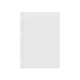 Liderpapel Recambio A4 100 Hojas 60gr Pauta 5ª 2.5mm con Margen 4 Taladros