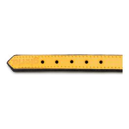 Collar para Perro Gloria Acolchado Amarillo (50 x 2,5 cm) Collar para Perro Gloria Acolchado Amarillo (50 x 2,5 cm)