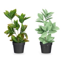 Maceta Planta Hoja Punta Mate Brillo Surtidos Col Ibergarden 16X35CM (12 Unidades) Maceta Planta Hoja Punta Mate Brillo Surtidos Col Ibergarden 16X35CM (12 Unidades)