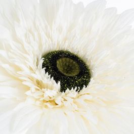 Flor Gerbera Blanco Artificial 60 X 60 X 150 cm