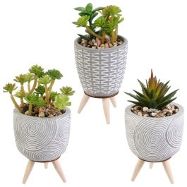 Home Deco Factory Planta Artificial Maceta Cemento D.8cm H.14,5cm