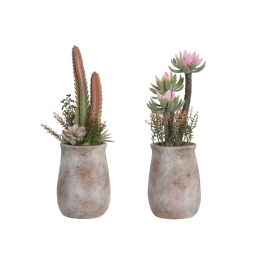 Planta DKD Home Decor Verde Rosa 13 x 35.5 x 13 cm (4 Unidades) Precio: 60.78999949. SKU: B1DCFCG297