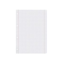 Recambio Liderpapel A4 100 Hojas 100 gr-M2 Cuadro 5 mm Con Doble Margen 4 Taladros