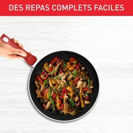TEFAL Sartén 24 cm, Inducción, Recubrimiento antiadherente, Forma profunda, Mango ergonómico, Made in France, Daily Expert C2890402