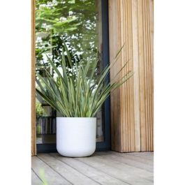 EDA PLASTIQUE Graphit'Up Maceta Redonda 50 cm 67 L para Interior y Exterior, Diseño Moderno con Reserva de Agua - Blanco Cal