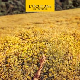 L'Occitane En Provence HOMME Desodorante Roll-On Sin Alcohol, Sin Sales de Aluminio, Protección 48h, Lavanda 50 ml L'Occitane En Provence HOMME Desodorante Roll-On Sin Alcohol, Sin Sales de Aluminio, Protección 48h, Lavanda 50 ml