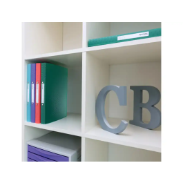 Esselte Colour Breeze Carpeta 2 Anillas Redondas 25 mm DIN A4 Polipropileno Colores Surtidos