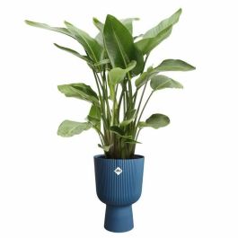 Elho ELH2904503029400 Maceta Vibes Fold Coupe Azul, 30x29.5x45 cm, Uso Interior, 100% Reciclada