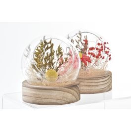DKD Home Decor Decoración Shabby Multicolor Cristal y Flor Seca 11 x 13 x 11 cm (6 Unidades)