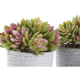 DKD Home Decor Planta Artificial Decorativa, Pack de 4 Unidades, Colores Beige y Gris, 14.5x14.5x16 cm, Material PE y EVA DKD Home Decor Planta Artificial Decorativa, Pack de 4 Unidades, Colores Beige y Gris, 14.5x14.5x16 cm, Material PE y EVA